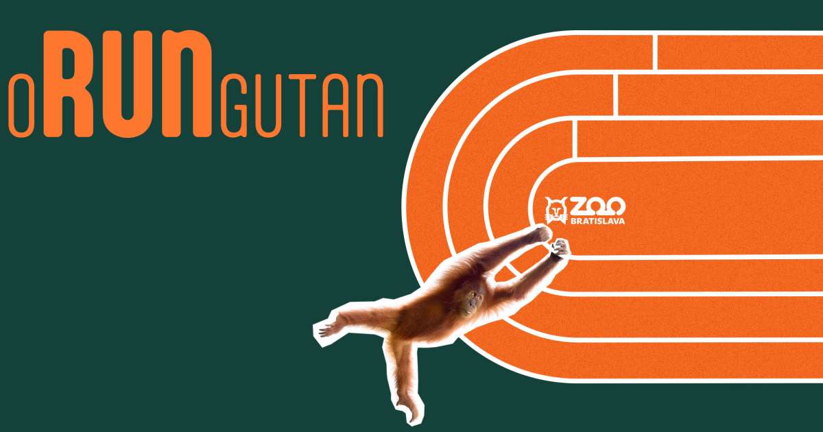 oRUNgutan