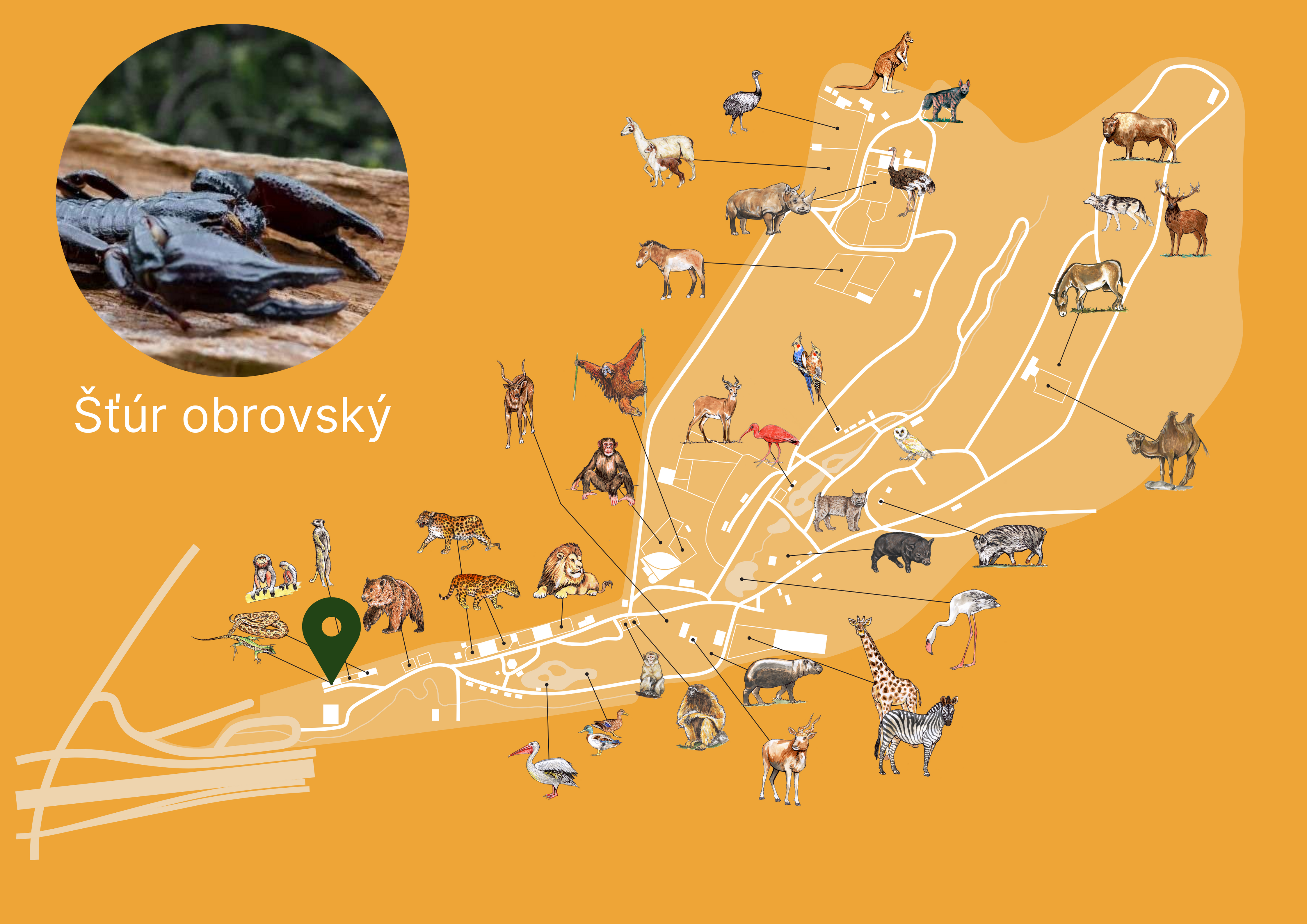 ZOO Šťúr obrovský Exhibition