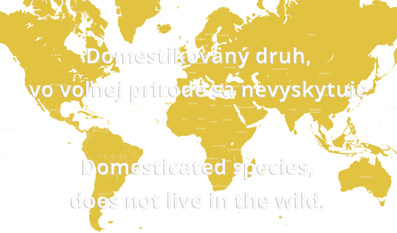 Mapa výskytu Koza domáca holandská