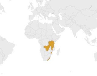 Location Daman stromový