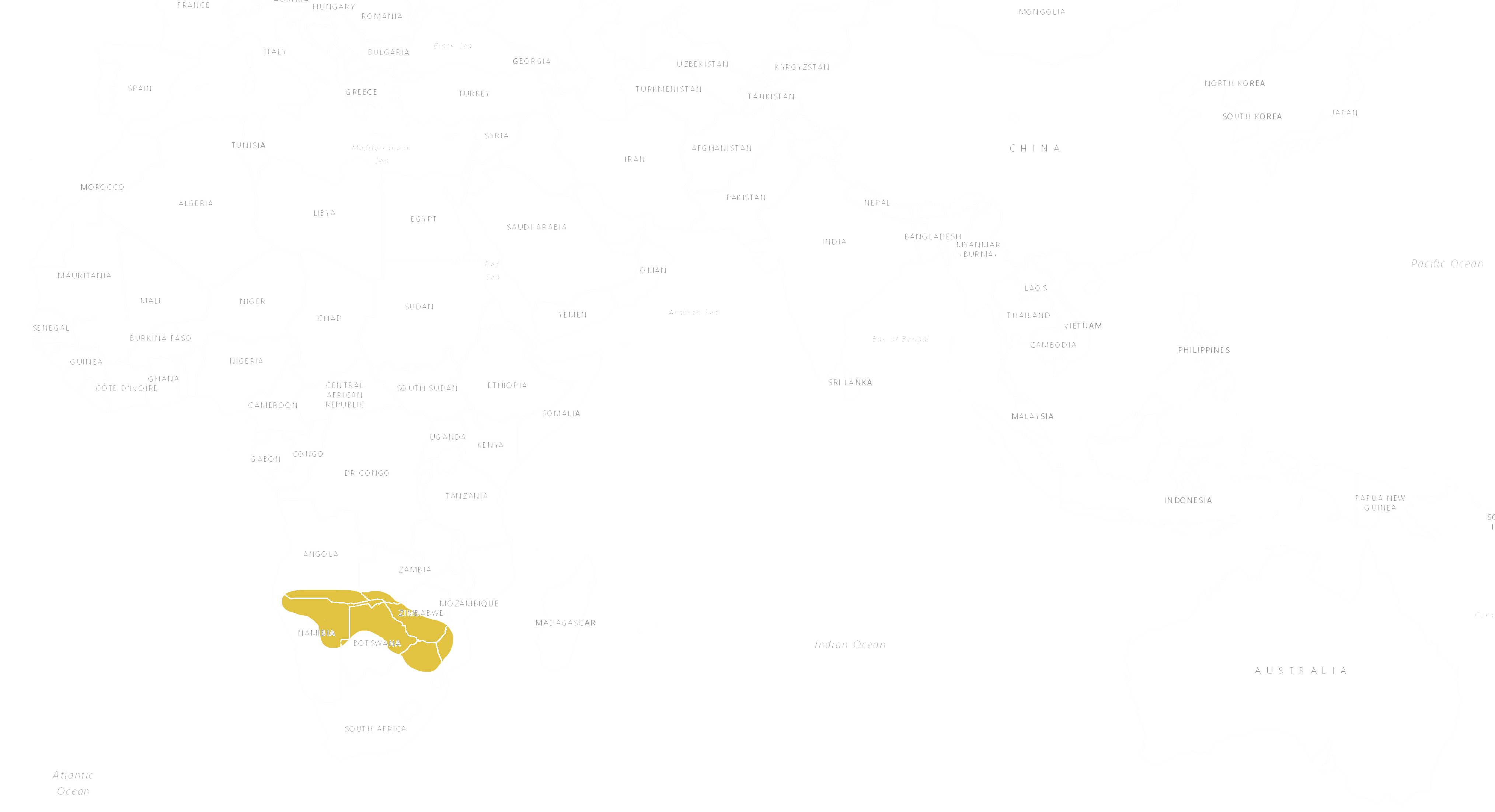 Location Zebra Chapmanova