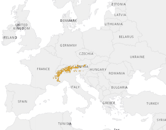 Location Kozorožec alpský