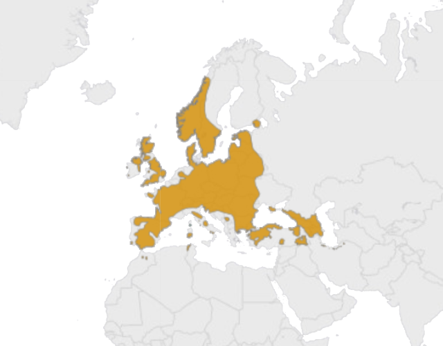Location Jeleň európsky