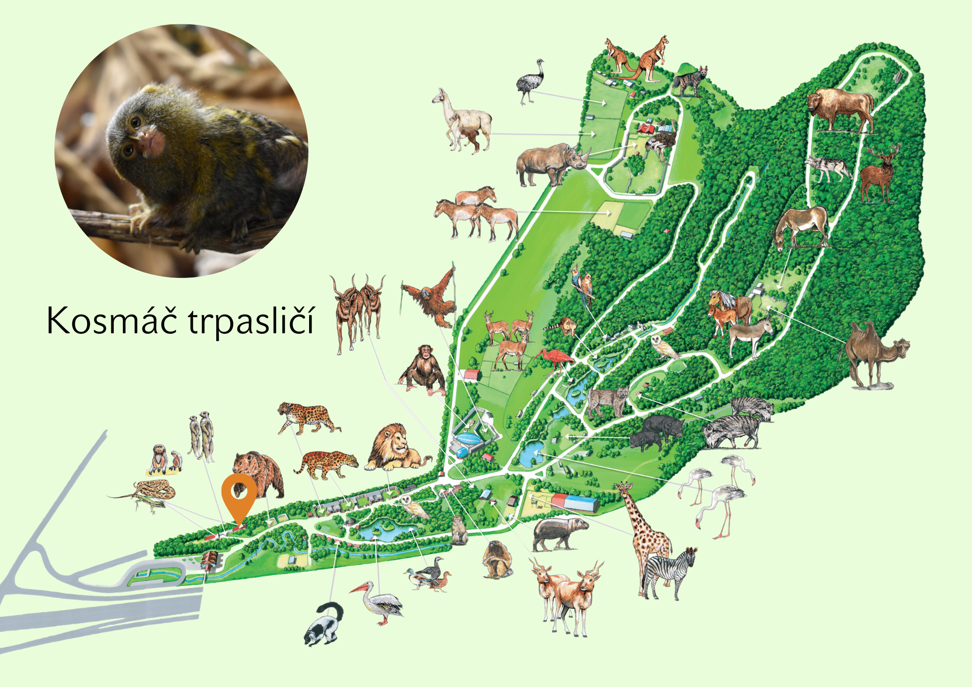 ZOO Kosmáč trpasličí Exhibition