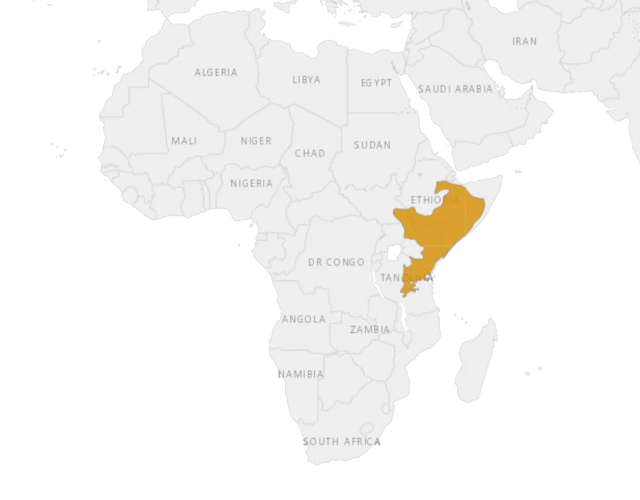 Location Lesser kudu
