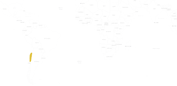 Location Osmák degu