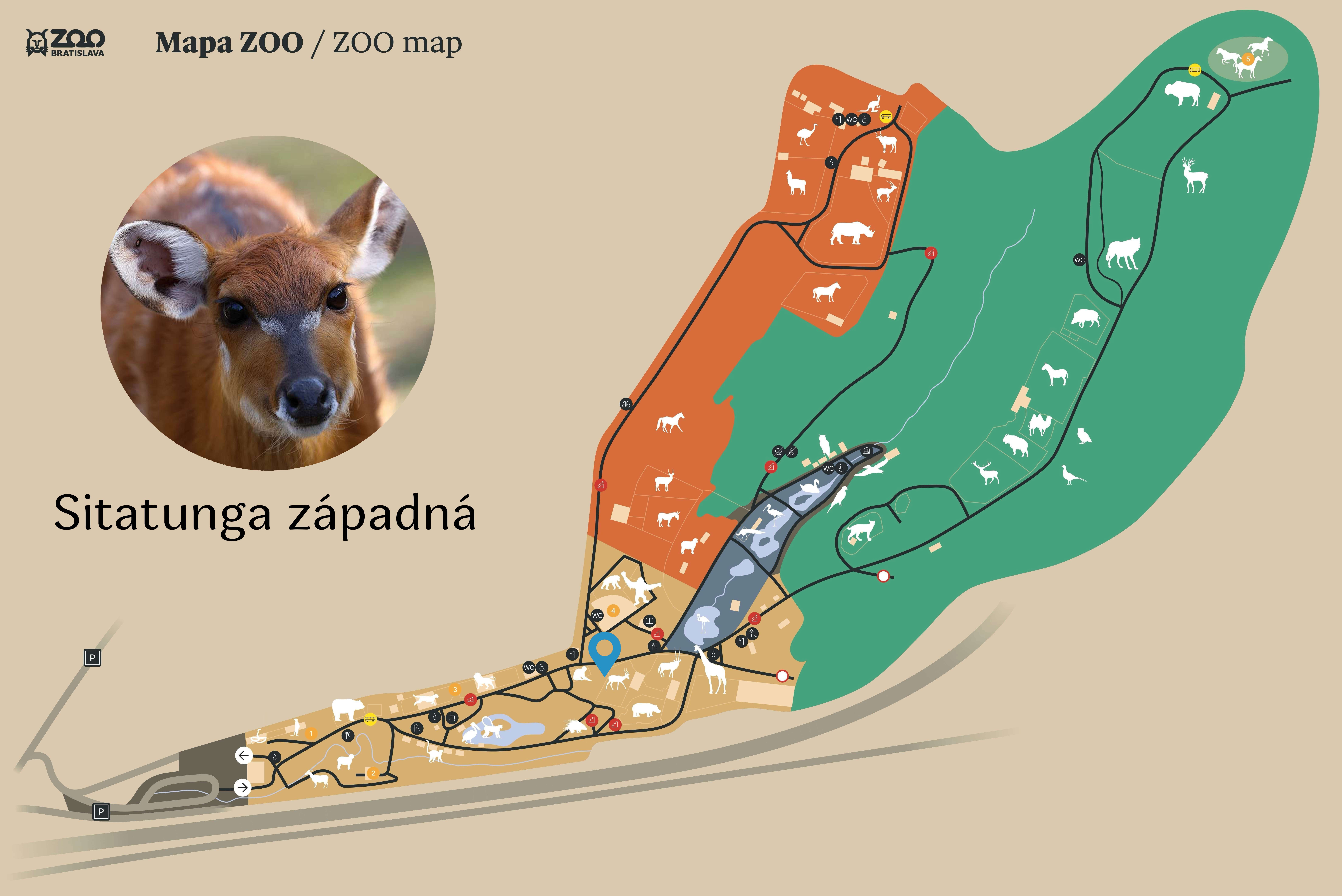 ZOO Sitatunga západná Exhibition