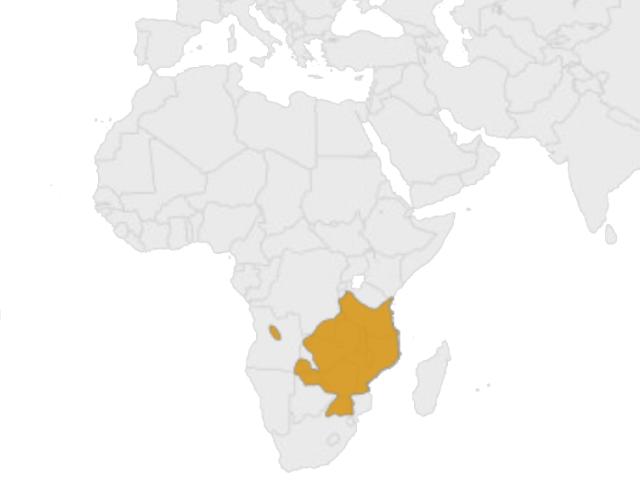 Location South African sable antelope