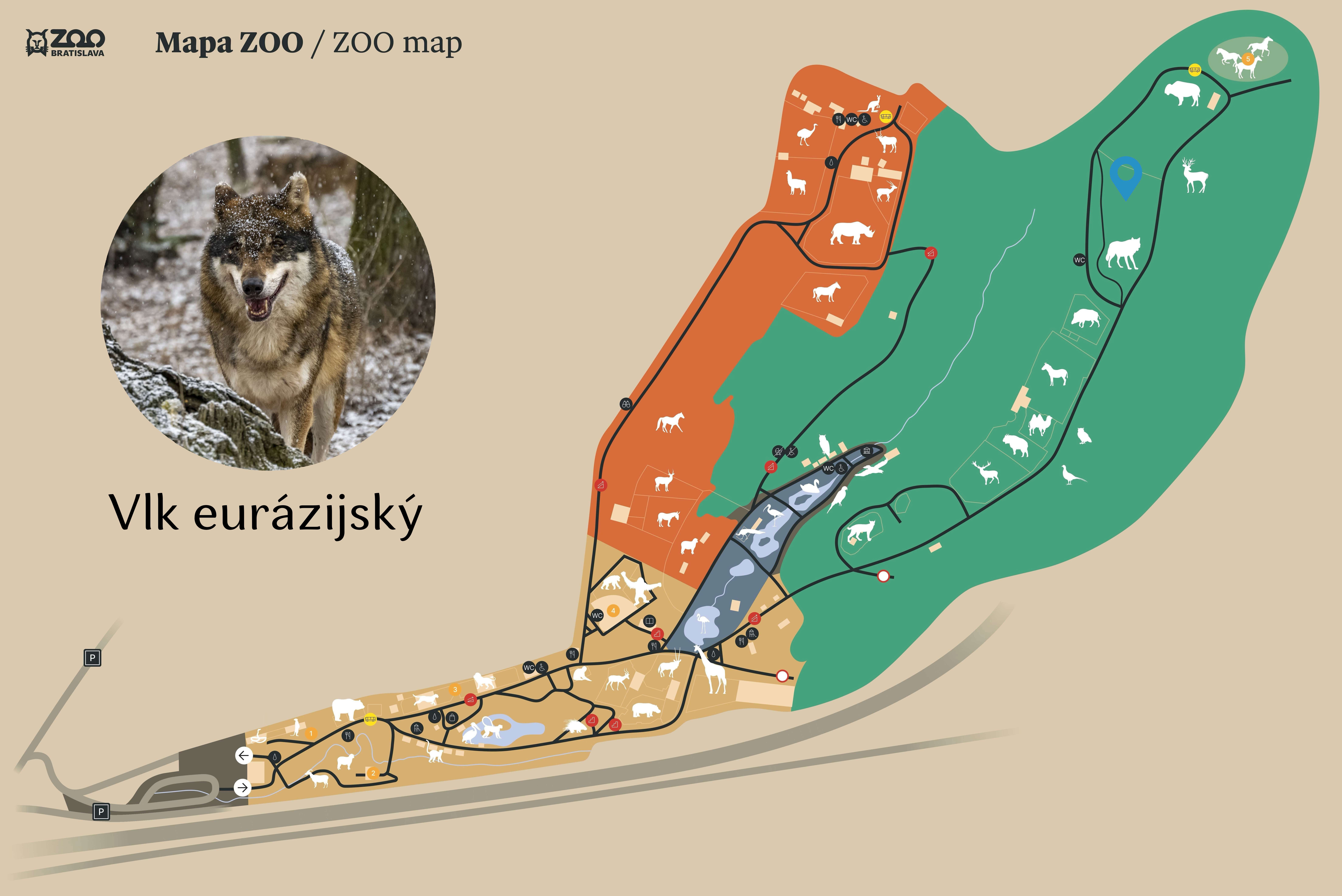 ZOO Vlk eurázijský Exhibition