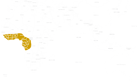 Location African dwarf crocodile 