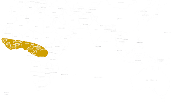Location Ball python 