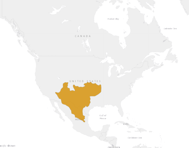 Location Collared lizard