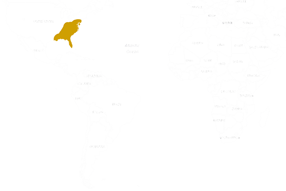 Location Cornsnake 