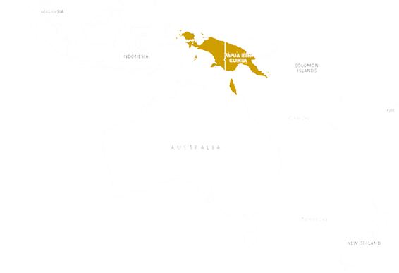 Location Green tree python 