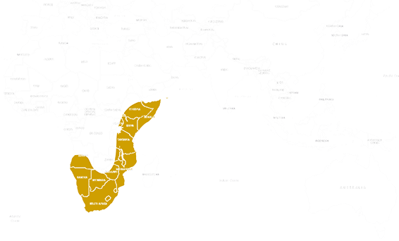 Location Northern leopard tortoise 