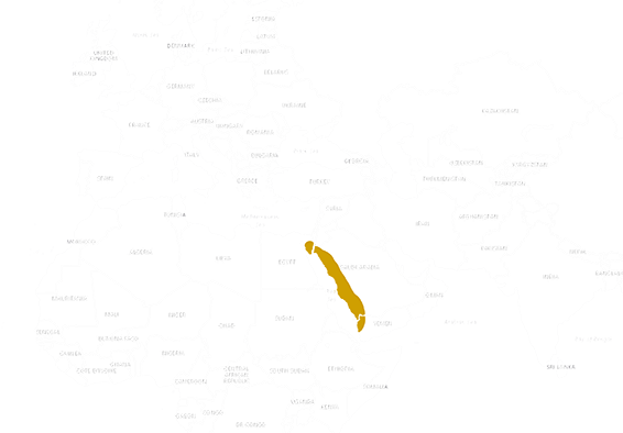 Location Ornate mastigure 