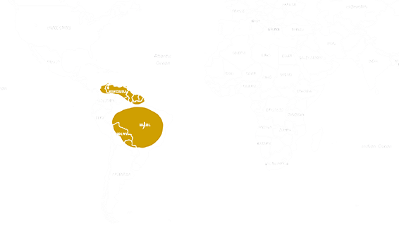 Location Red-footed tortoise