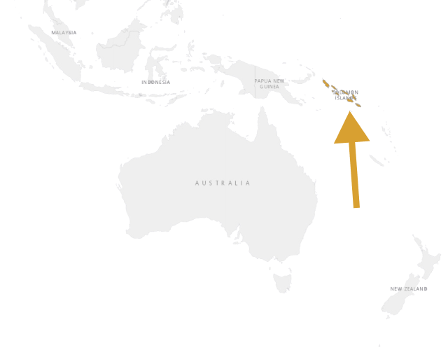 Location Solomon Islands skink