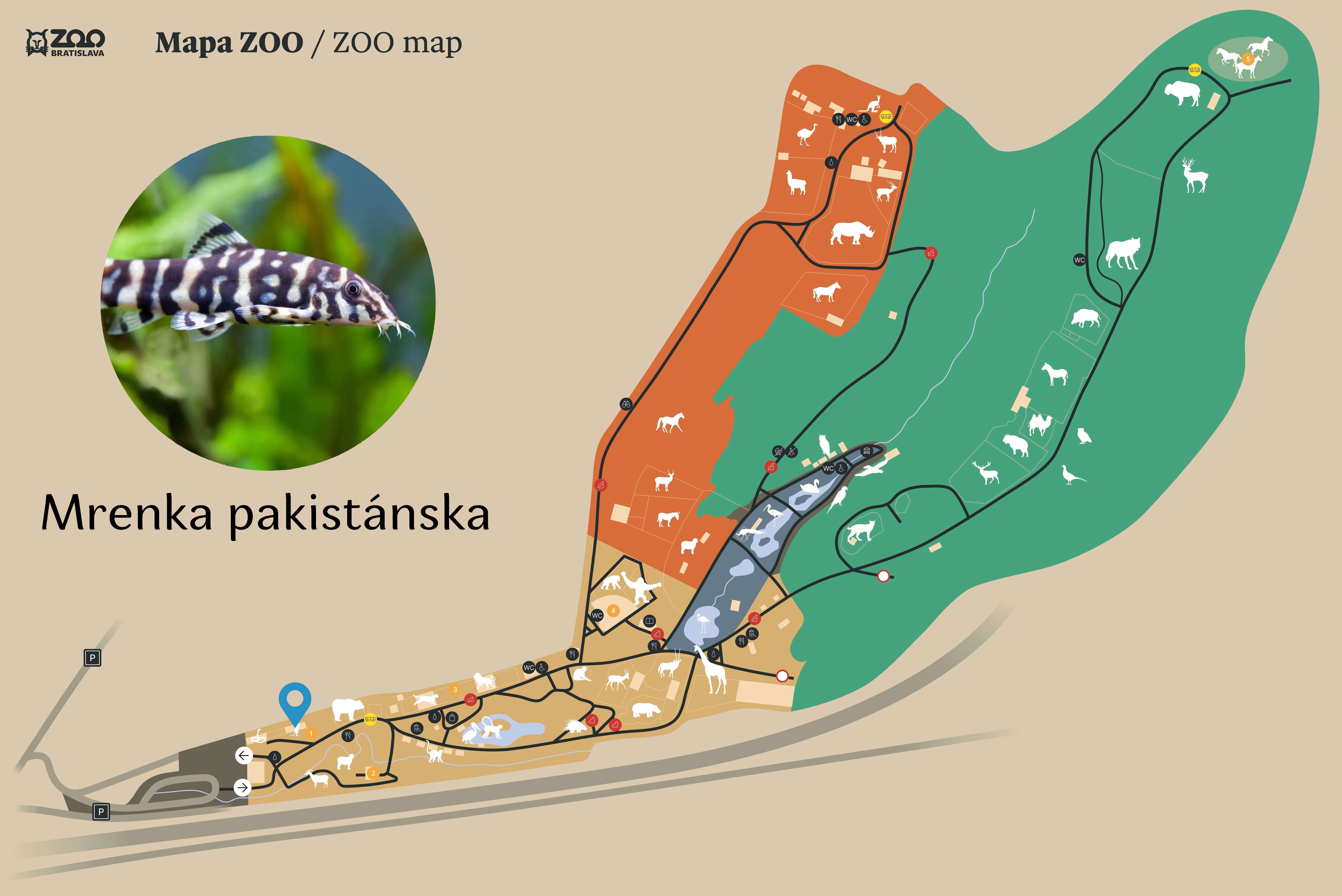 ZOO Mrenka pakistánska Exhibition