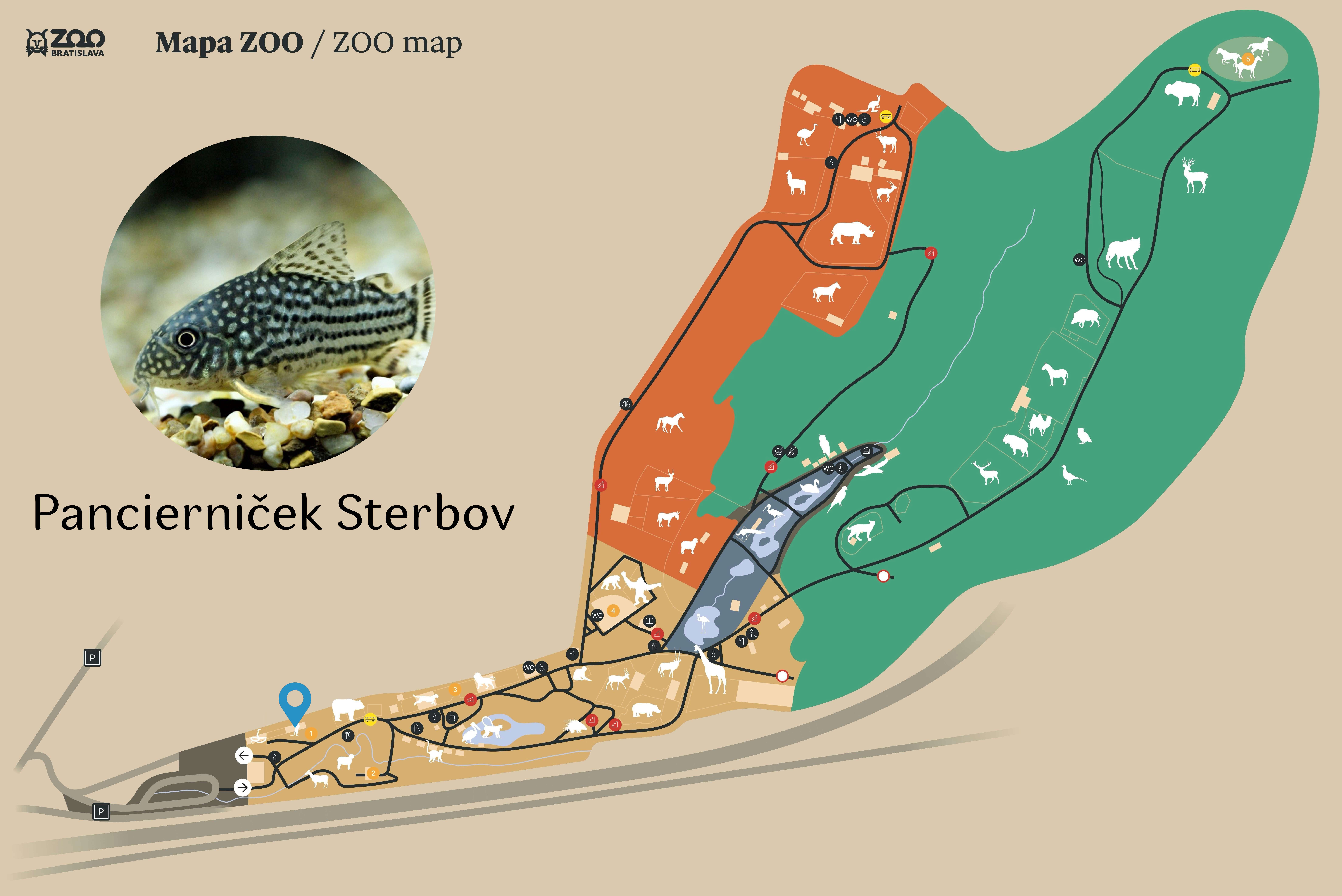 ZOO Pancierniček Sterbov Exhibition