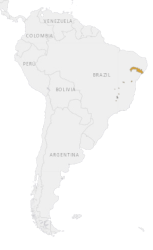 Location Piraňa rastlinožravá
