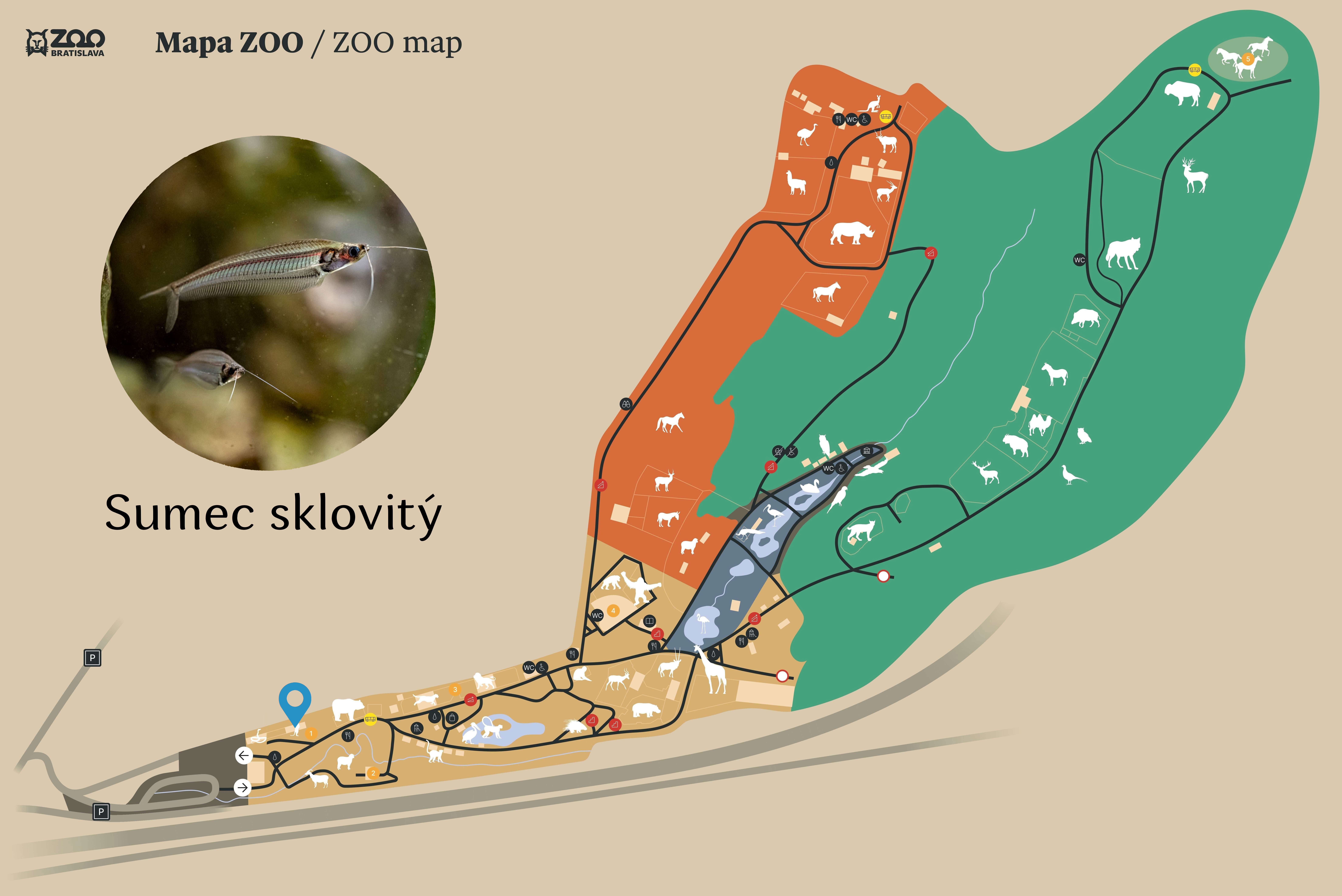 ZOO Sumec sklovitý Exhibition