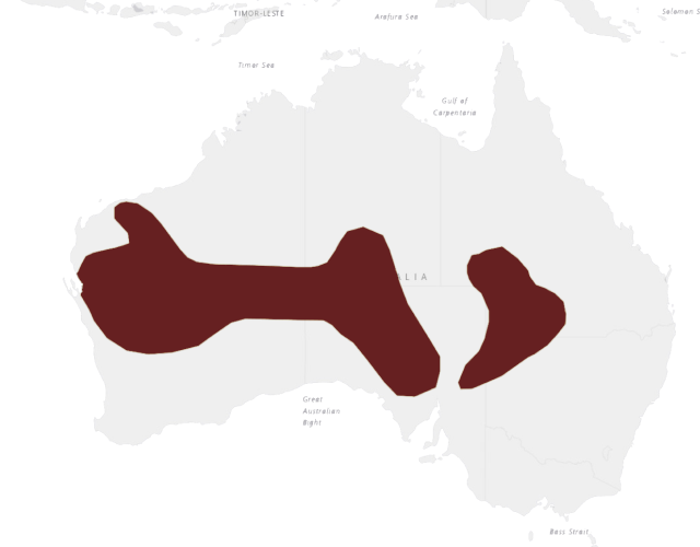 Location Bourke's parrot