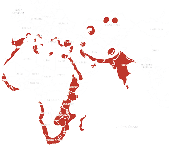 Location Greater flamingo