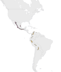Location Mexican military macaw
