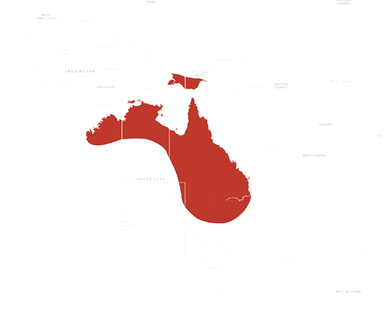 Location Red-winged parrot