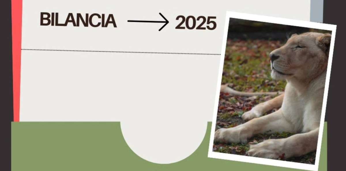 Bilancia ZOO Bratislava za rok 2025