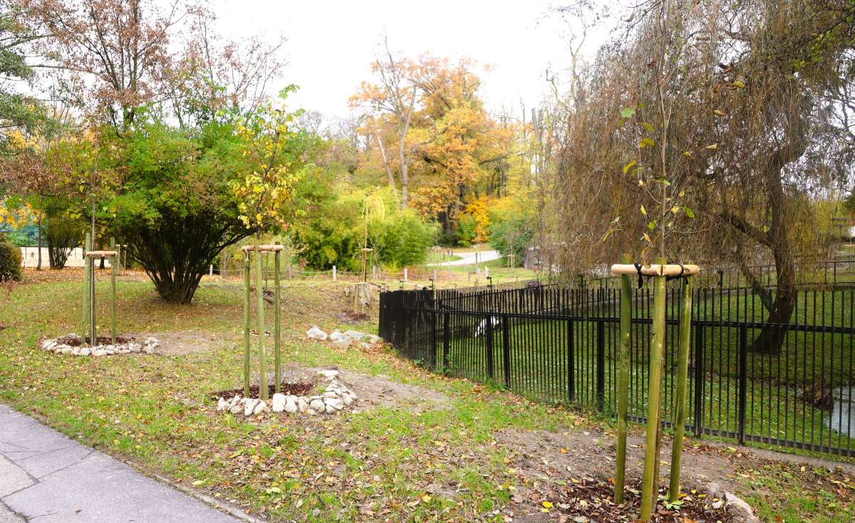 V ZOO Bratislava vznikla nová Zelená oáza